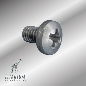 Pan Phillips screw M4x6